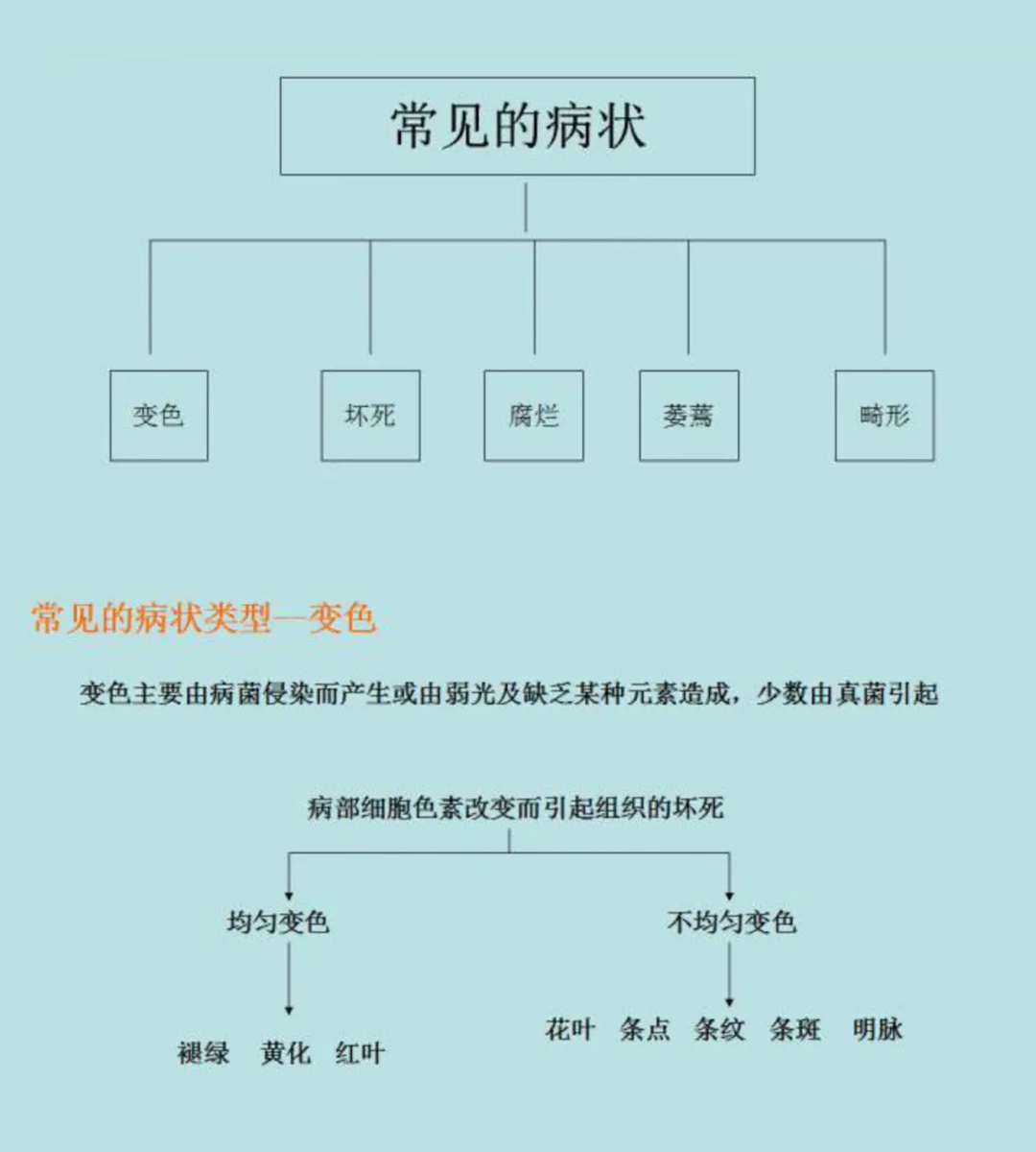 植物病害分類識別